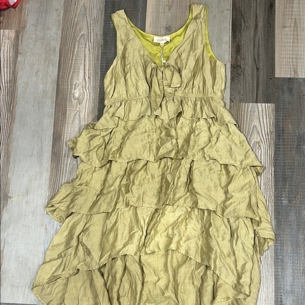 Listicle Ruffled dress